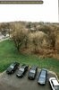 Black cars