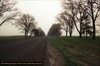 Road to hell