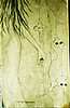 pictures
